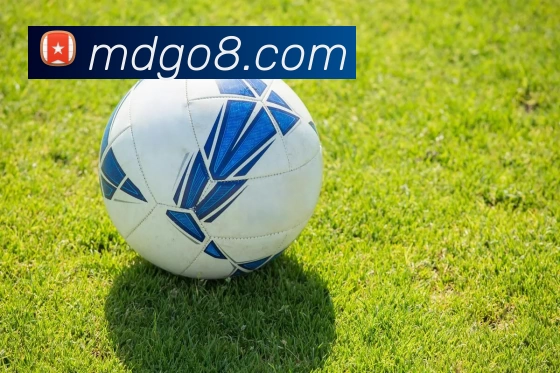 摩登体育官网服务体系